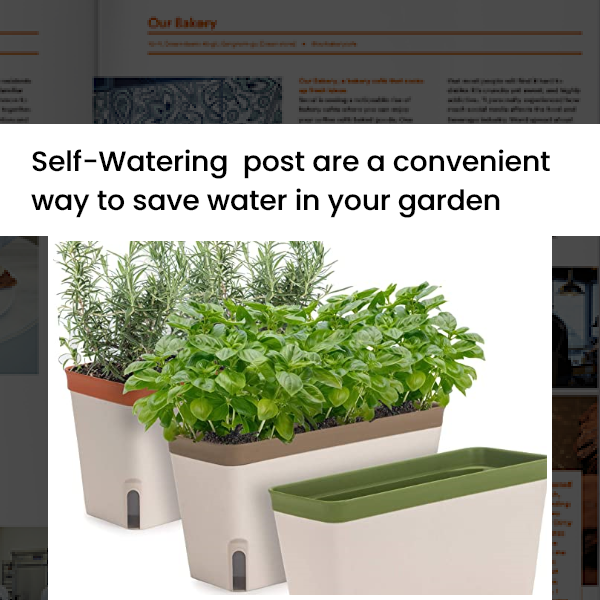 HomeLeisure’s WaterSaver pots recognised as a convenient way to save water in gardens