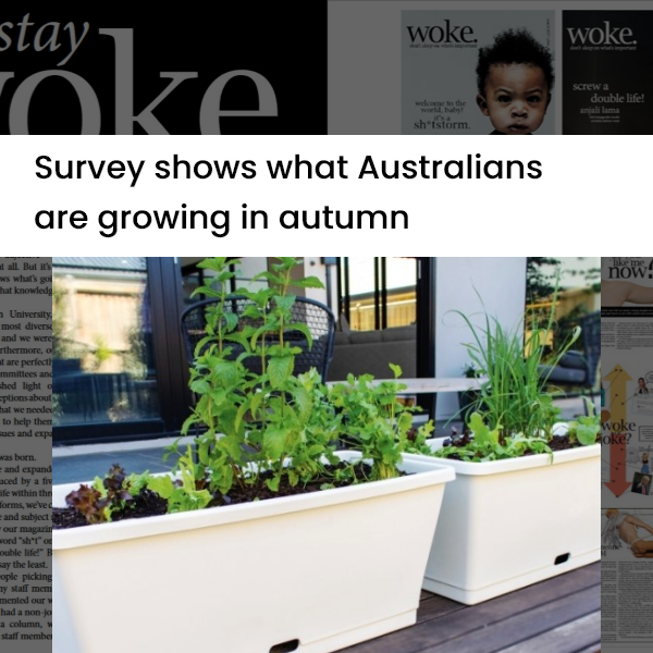 HomeLeisure surveys what Australians are growing in autumn